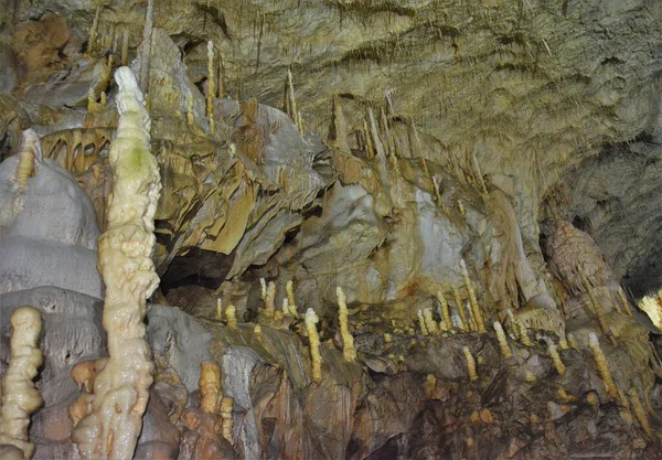 Cueva Del Oso Del Pueblo Chiscau Condado Bihor Rumania —  Fotos de Stock