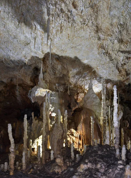 Cueva Del Oso Del Pueblo Chiscau Condado Bihor Rumania — Foto de Stock