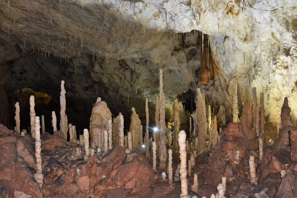 Bear Cave Chiscau Village Bihor County Romania — Stock Photo, Image