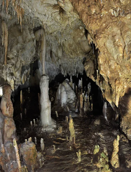 Bjørnegrotte Fra Landsbyen Chiscau Bihor Amt Rumænien - Stock-foto