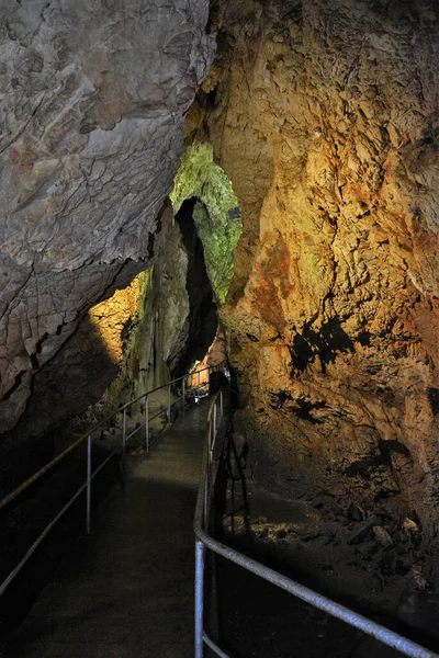 Grotta Dell Orso Dal Villaggio Chiscau Contea Bihor Romania — Foto Stock