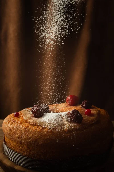 블랙베리 가루가 맛있는 케이크를 수직으로 — 스톡 사진