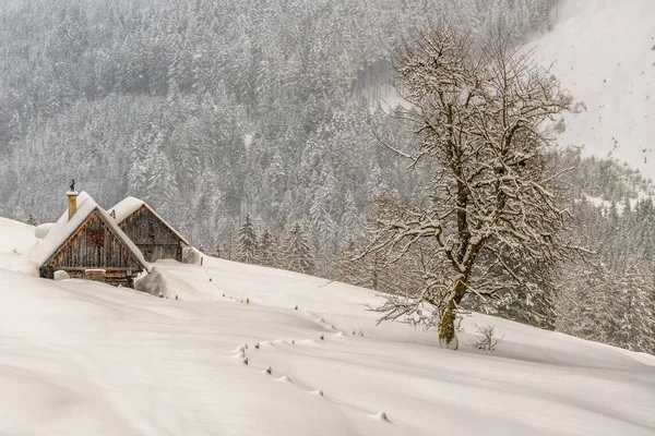 Ett Landskap Trähus Kulle Täckt Med Snö Vintern — Stockfoto