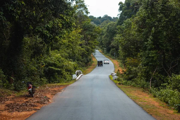 Ormanda Dar Bir Yolda Giden Arabalar — Stok fotoğraf