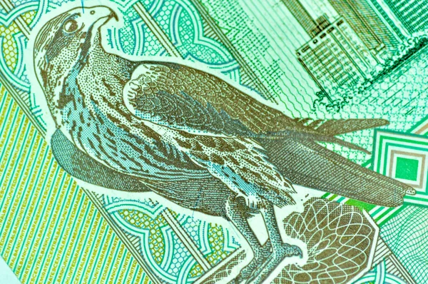Κλείσιμο Νομίσματος Των Ηνωμένων Αραβικών Εμιράτων Dirhams Fils Dubai Abu — Φωτογραφία Αρχείου