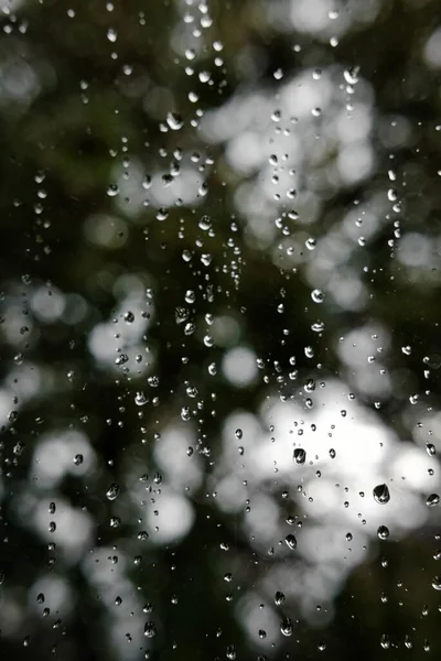 雨滴に覆われた窓の後ろのぼやけた木々の垂直ショット — ストック写真