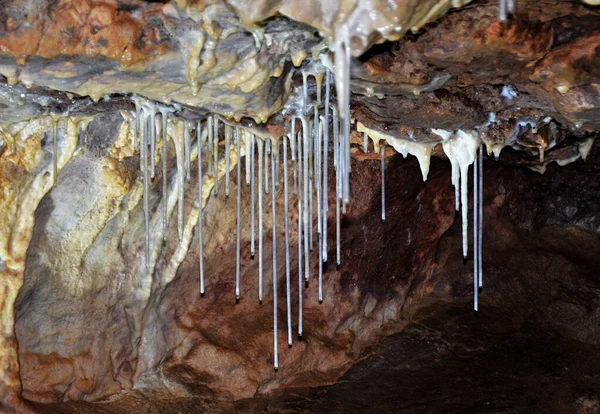 Σπήλαιο Αρκούδας Από Χωριό Chiscau Επαρχία Bihor Ρουμανία — Φωτογραφία Αρχείου