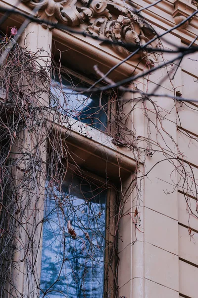 Vertical Shot Old Building Covered Growing Plantations — Stock Photo, Image