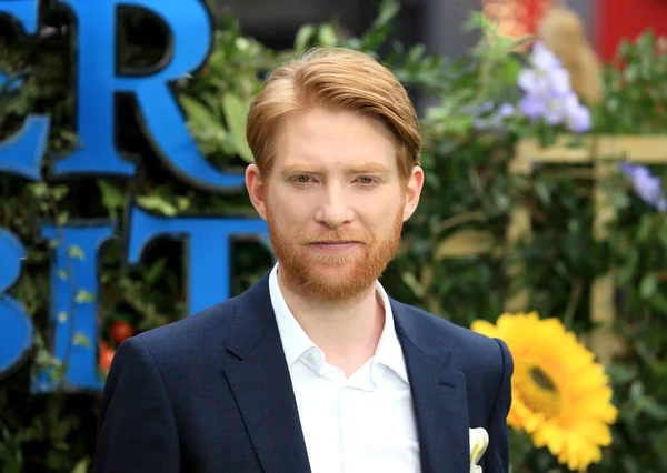 London United Kingdom Mar 2018 Domhnall Gleeson Attends Peter Rabbit — Stock Photo, Image