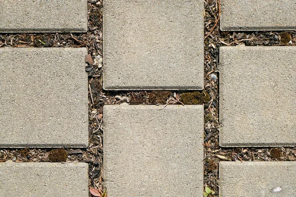 舗装上のコンクリートレンガタイルの閉鎖 — ストック写真