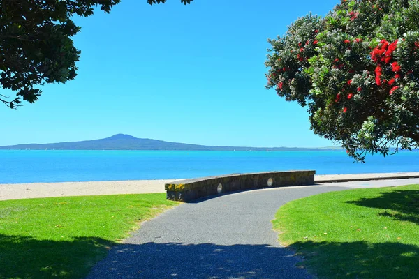 View Heliers Bay Beach Rangitoto Island Background — Stock Photo, Image