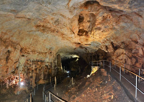 Grotta Dell Orso Dal Villaggio Chiscau Contea Bihor Romania — Foto Stock