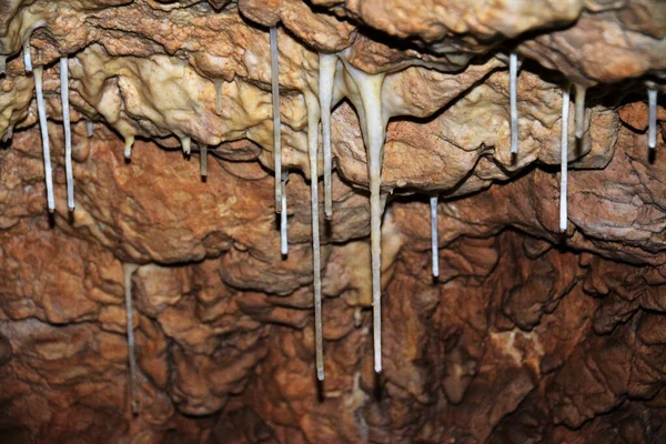 Медвежья Пещера Деревни Бихор Румыния — стоковое фото