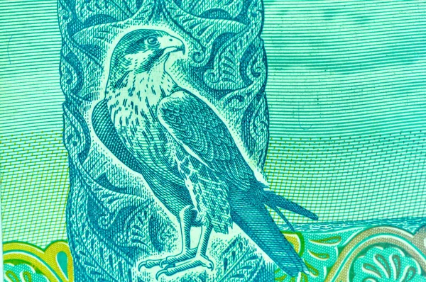 Closeup United Arab Emirates Currency Dirhams Fils Dubai Abu Dhabi — Stock Photo, Image