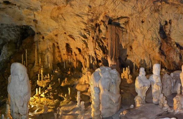 Cueva Del Oso Del Pueblo Chiscau Condado Bihor Rumania —  Fotos de Stock