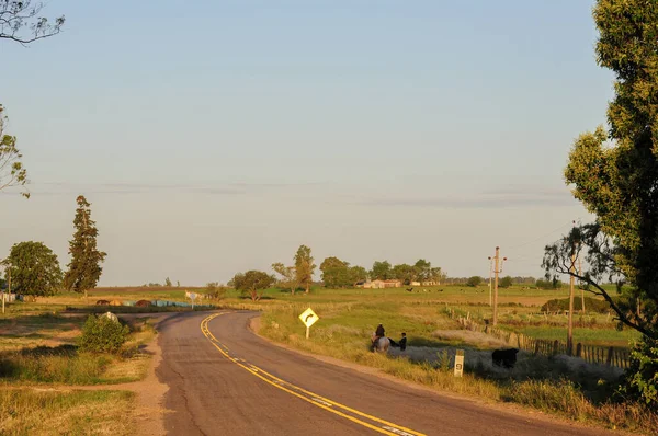 Prázdná Cesta Venkově Uruguayi Silnice Stáčí Doprava Bezmračnou Oblohou Několika — Stock fotografie