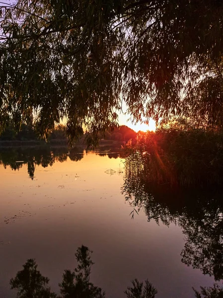 Beautiful Sunset Lake Autumn — Stock Photo, Image