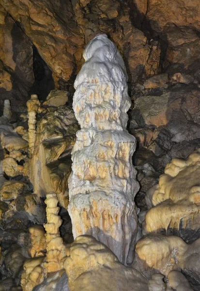 Björngrotta Från Byn Chiscau Bihor County Rumänien — Stockfoto