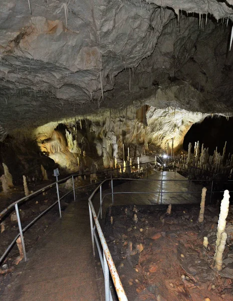 Bärenhöhle Aus Dem Dorf Chiscau Kreis Bihor Rumänien — Stockfoto