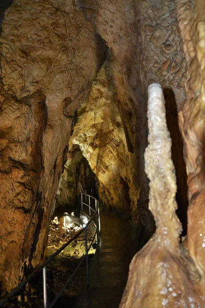 Bear Cave Chiscau Village Bihor County Romania — Stock Photo, Image