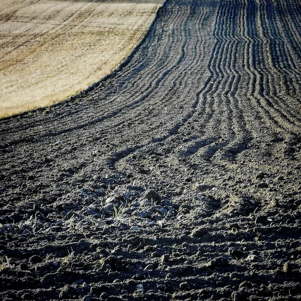 Een Verticale Close Van Bebouwd Land Met Sporen Erop — Stockfoto