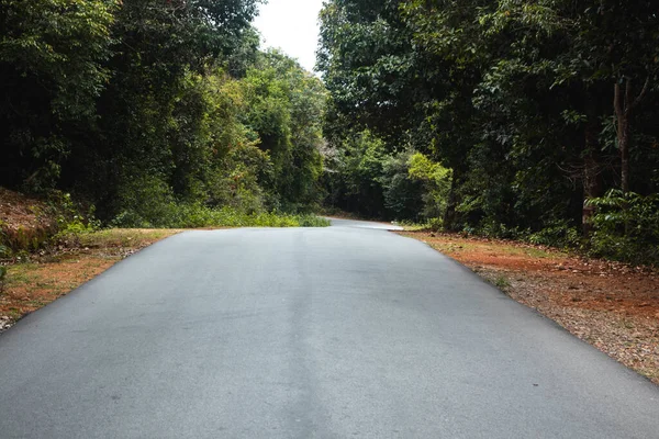 Una Strada Asfaltata Attraverso Foresta — Foto Stock