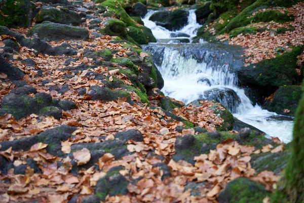 독일의 바흐에 바위들 흐르는 활기찬 — 스톡 사진