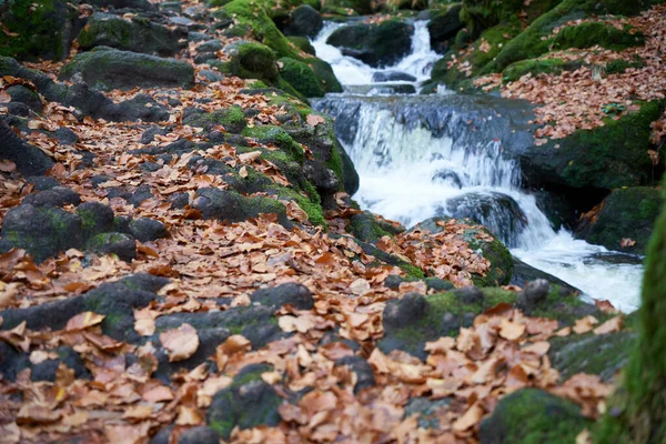 Uno Scenario Vibrante Fiume Che Scorre Sulle Rocce Gertelbach Germania — Foto Stock