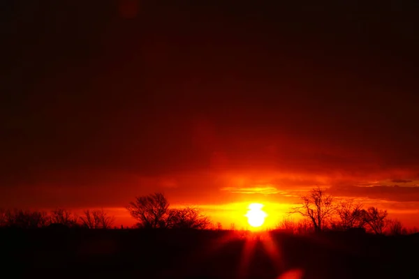 Una Luz Solar Brillante Detrás Horizonte Distante Árboles Sin Hojas — Foto de Stock