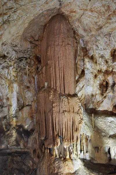 Cueva Del Oso Del Pueblo Chiscau Condado Bihor Rumania —  Fotos de Stock