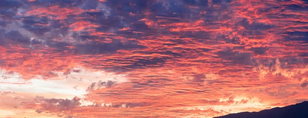 Elbűvölő Kép Naplemente Égboltról Rózsaszín Tollas Felhőkkel Borítva — Stock Fotó