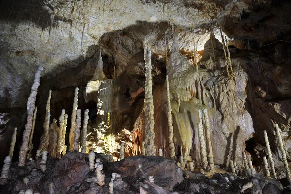 Bjørnegrotte Fra Landsbyen Chiscau Bihor Amt Rumænien - Stock-foto