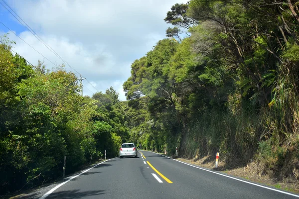 Auckland New Zealand Nov 2020 View Toyota Vitz Car Driving — Stock Photo, Image