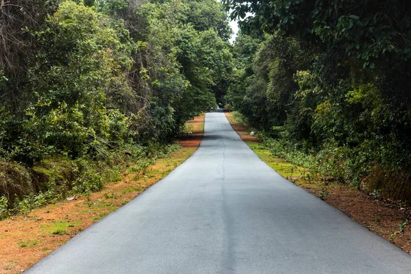 Una Stretta Strada Attraverso Parco — Foto Stock