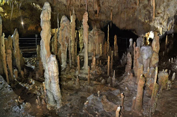 Cueva Del Oso Del Pueblo Chiscau Condado Bihor Rumania —  Fotos de Stock