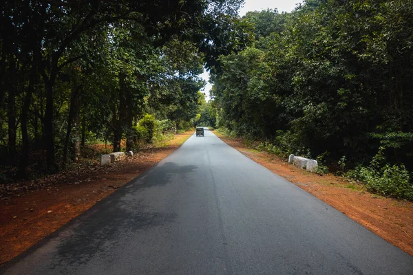 Uma Estreita Estrada Asfalto Através Parque — Fotografia de Stock