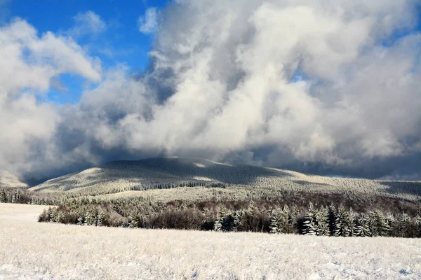 Een Prachtig Winterlandschap Met Dikke Wolken Een Bos — Stockfoto