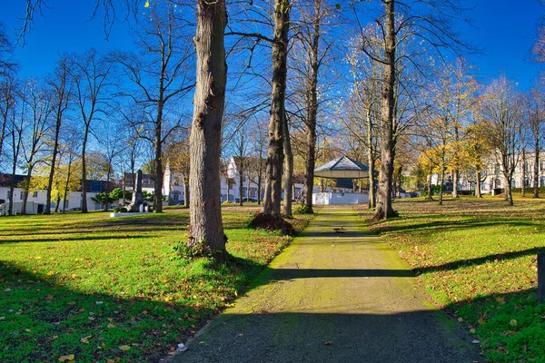 歩道に木の影が落ちる公園 — ストック写真