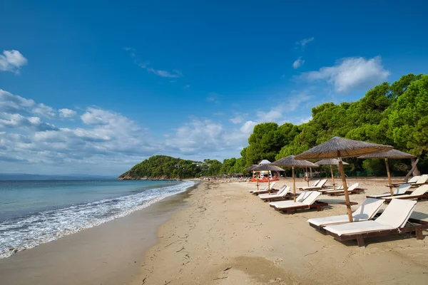 Playa Koukounaries Isla Skiathos Grecia —  Fotos de Stock