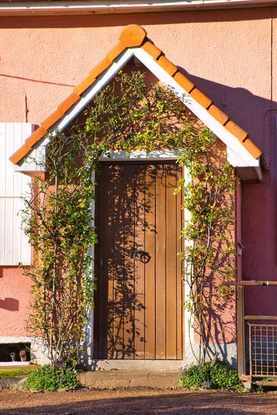 登山用植物で飾られた家のドアの垂直ショット — ストック写真