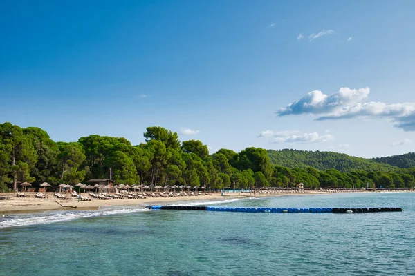 Pláž Koukounaries Ostrově Skiathos Řecku — Stock fotografie
