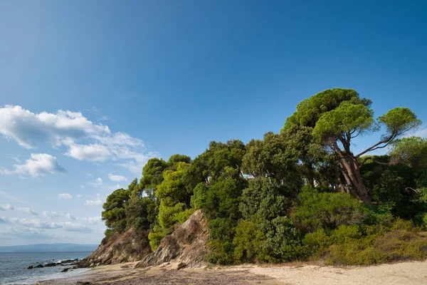 Playa Koukounaries Isla Skiathos Grecia — Foto de Stock