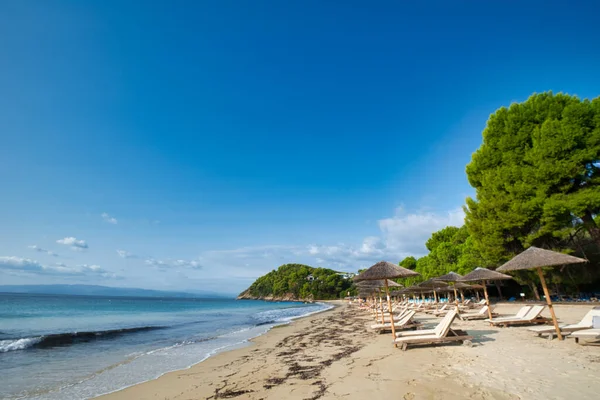 Playa Koukounaries Isla Skiathos Grecia —  Fotos de Stock