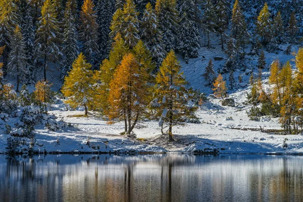 Красивый Вид Озеро Зимой Заснеженной Землей Деревьями Отраженными Воде Солнечный — стоковое фото