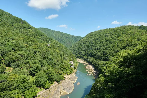 Een Prachtig Uitzicht Rivier Omringd Door Bomen Groen Een Berg — Stockfoto