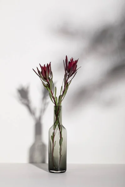 Ένα Κάθετο Πλάνο Όμορφα Κόκκινα Λουλούδια Ένα Γυάλινο Βάζο Πάνω — Φωτογραφία Αρχείου