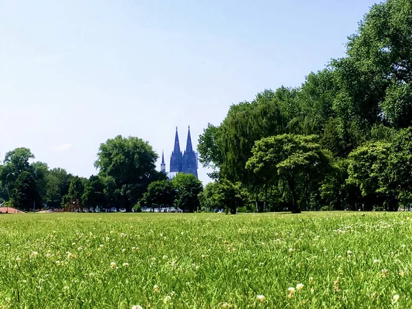 Beautiful Shot Green Garden Looking Regensburg Cathedral Germany — Foto de Stock