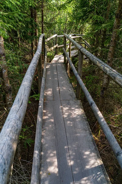 Lothar Path Esperienza Forestale Percorso Didattico Nella Riserva Naturale Schliffkopf — Foto Stock