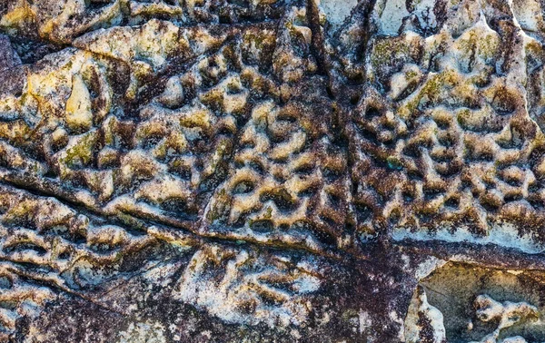 Абстрактная Каменная Текстура Лишайником — стоковое фото