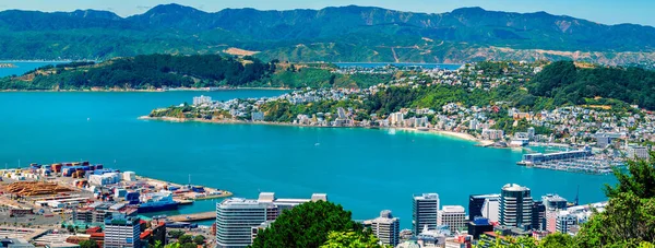ニュージーランドのウェリントン 2020年2月25日 夏の午後の景色は オリエンタルベイとマウントビクトリアの人気のあるインナーシティビーチに向かって街や港を見渡します — ストック写真